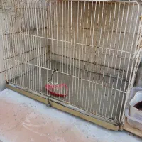 قفس پرنده