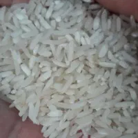 برنج|خوردنی و آشامیدنی|تهران, خواجه نظام الملک|دیوار