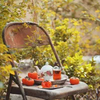 کارکرده  حـساب باشـه «(مـهـر)»