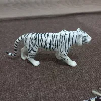ببر