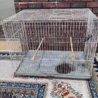 قفس پرنده