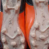 استوک دار