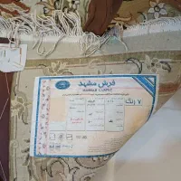 فرش ماشینی|فرش|رودهن, |دیوار