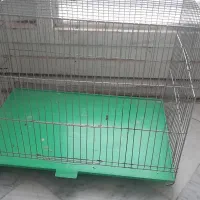 قفس|لوازم جانبی حیوانات|قم, حاج خلیل|دیوار