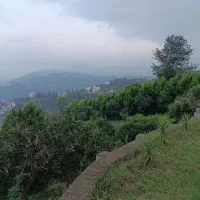 انبوه-سازی-دراربه-کله-رامسر-زیبا-باچشم-انداز-20