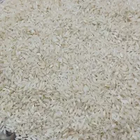 چمپا شهریار