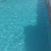 شفاف سازی آب اسیدشویی جارو استخر تعویض سلیس|خدمات نظافت|چهارباغ, |دیوار