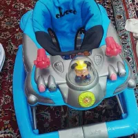 روروئک دسته دار سالم