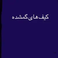 دو عدد کیف مشکی گم شده