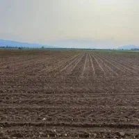 مزرعه 5 هزار متری