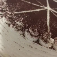 کیک های کافیشاپی|خوردنی و آشامیدنی|تهران, مطهری|دیوار