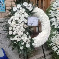 تاج گل|گل و گیاه طبیعی|کرج, کوی کارمندان شمالی|دیوار