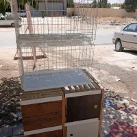 جفگاه کفتری یاکبوتری