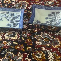 ظروف پذیرایی