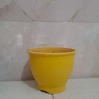 گلدان پلاستیکی|گل و گیاه طبیعی|قم, شاه ابراهیم|دیوار