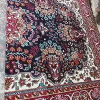 گلیم فرش ۶متری|فرش|قم, شاد قلی|دیوار