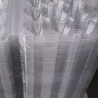 ظرف بسته بندی تخم بلدرچین