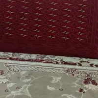 یک جفت پشتی
