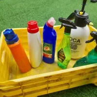 انجام نظافت منزل و راه پله