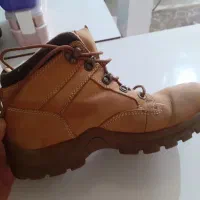 پوتین اورجینال ۴۱هم میخوره