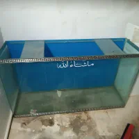 آکواریوم شیشه خم