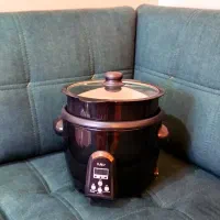 پلوپز چند کاره تولپیس مدل RC440-4