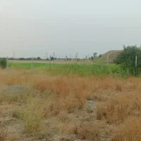 زمین-باغی-محمد-اباد
