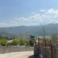 زمین فروشی|فروش زمین و ملک کلنگی|آلاشت, |دیوار