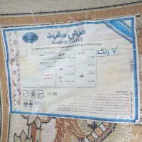 فرش ۱۲متری مشهد|فرش|مشهد, امیر|دیوار