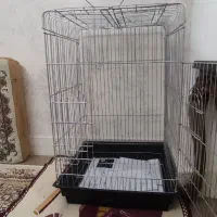قفس پرنده