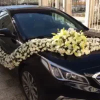 گل آرایی دسته گل عروس و ماشین عروس و باکس گل و ...|گل و گیاه طبیعی|شیراز, جانبازان|دیوار