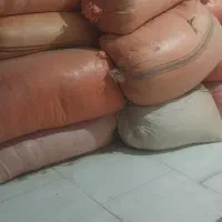 کاه گندم قیمت مناسب