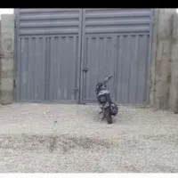 سوله-دامداری-مرغداری