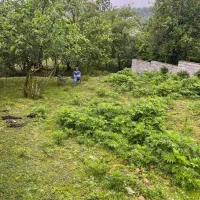 295 متر زمین سند تک برگ مسکونی در شمال