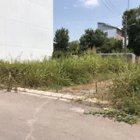 فروش زمین ۱۸۲ متری سند کوی اساتید/پستک/گلسار|فروش زمین و ملک کلنگی|رشت, پستک|دیوار