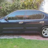 ماکسیما مدل ۸۱ دنده ای|خودرو سواری و وانت|تهران, آسمان|دیوار