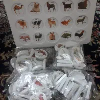 هوش چین