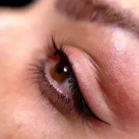 خدمات آرایش دائم، شیدینگ لب وخط چشم|خدمات آرایشگری و زیبایی|شیراز, عفیف‌آباد|دیوار