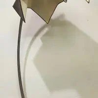 اباژور ایستاده