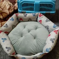 جای خواب سگ و گربه در حدنو