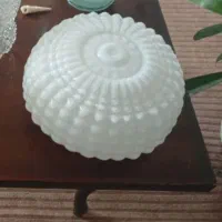 حباب دوپوست قدیمی
