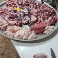 قصاب سیار|خدمات پذیرایی، مراسم|اهواز, شهرک دانشگاه|دیوار