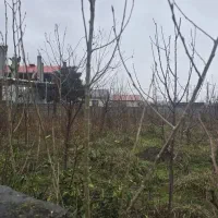 زمین ۱۰۰۰ متری فروشی