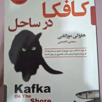 کافکا در ساحل، چشم‌هایش بزرگ علوی