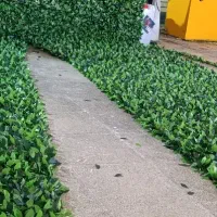 استخدام نیروکار فوری (کارخانه تولیدی)