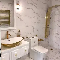 لوله کشی نصب تعمیرتوالت فرنگی شیرالات روشویی سینک|خدمات پیشه و مهارت|شیراز, بعثت|دیوار