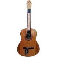 گیتار پتاع پور mat2