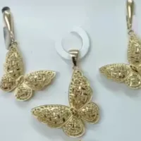گوشواره گم شده