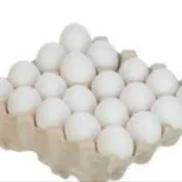 تخم مرغ سالم و ب روز شونه ای ۸۰