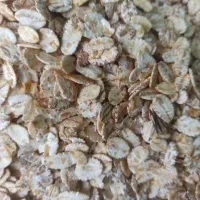 مخصوص ورزشکار